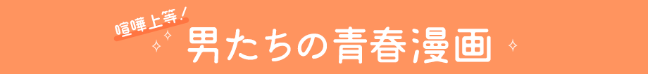 喧嘩上等!男たちの青春漫画