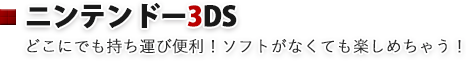 ニンテンドー3DS