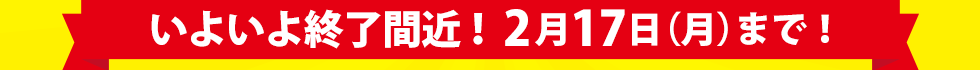期間延長決定!2月17日(水)まで!