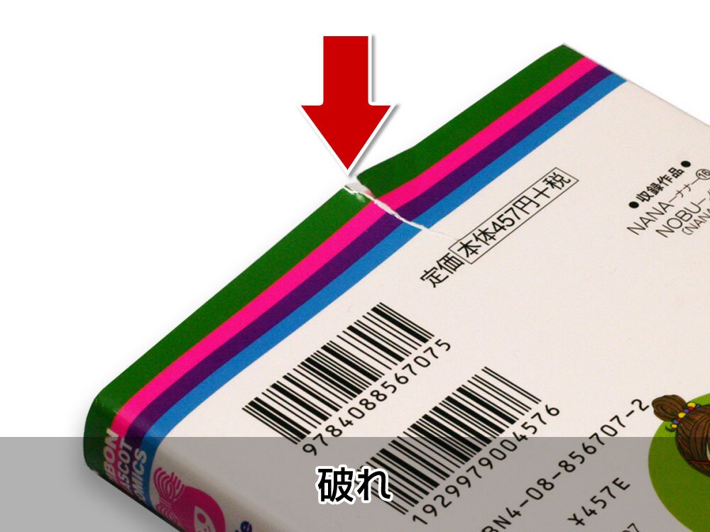 品質基準を満たさない【破れ】
