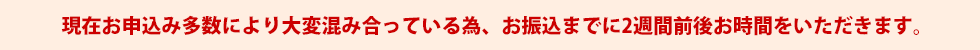 現在お申込み多数により大変混み合っている為、お振込までに2週間前後お時間をいただきます。