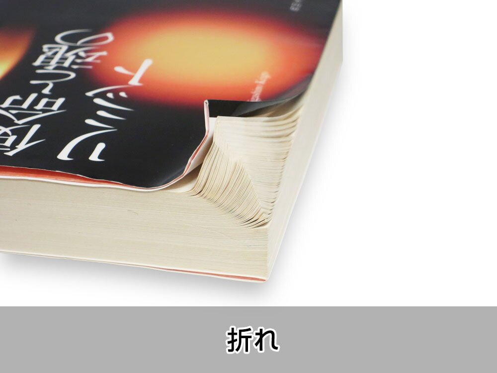 品質基準を満たさない【折れ】