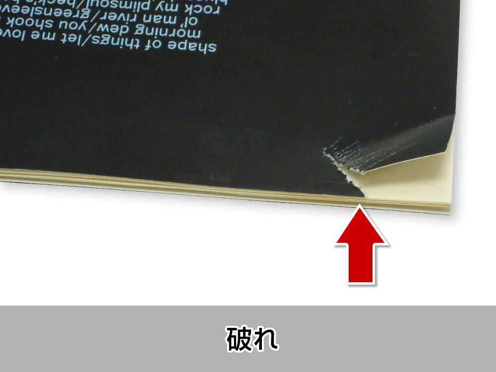 品質基準を満たさない【破れ】