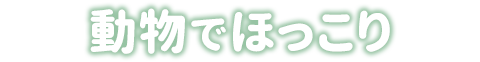 動物でほっこり