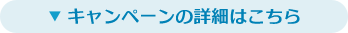 Ly[̏ڍׂ͂