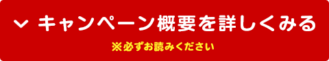 Ly[Tvڂ݂ Kǂ݂