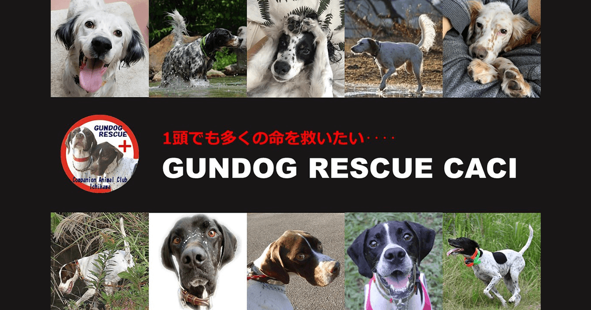 GUNDOG RESCUE CACI｜本で寄付できるブックオフ「キモチと。」